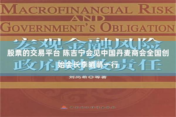 股票的交易平台 陈吉宁会见中国丹麦商会全国创始会长李曦萌一行