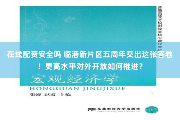 在线配资安全吗 临港新片区五周年交出这张答卷！更高水平对外开放如何推进？