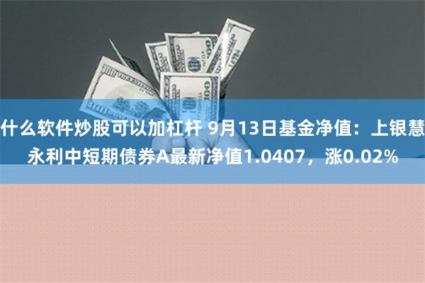 什么软件炒股可以加杠杆 9月13日基金净值：上银慧永利中短期债券A最新净值1.0407，涨0.02%