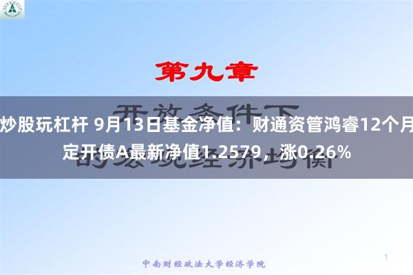 炒股玩杠杆 9月13日基金净值：财通资管鸿睿12个月定开债A最新净值1.2579，涨0.26%