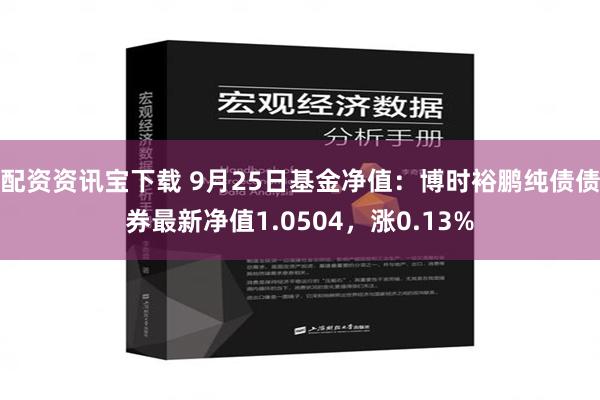 配资资讯宝下载 9月25日基金净值：博时裕鹏纯债债券最新净值1.0504，涨0.13%