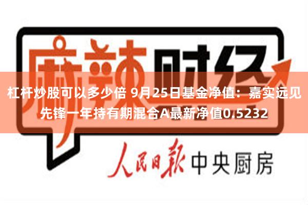 杠杆炒股可以多少倍 9月25日基金净值：嘉实远见先锋一年持有期混合A最新净值0.5232