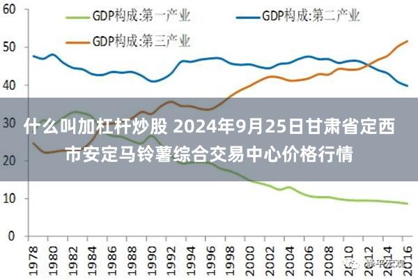 什么叫加杠杆炒股 2024年9月25日甘肃省定西市安定马铃薯综合交易中心价格行情