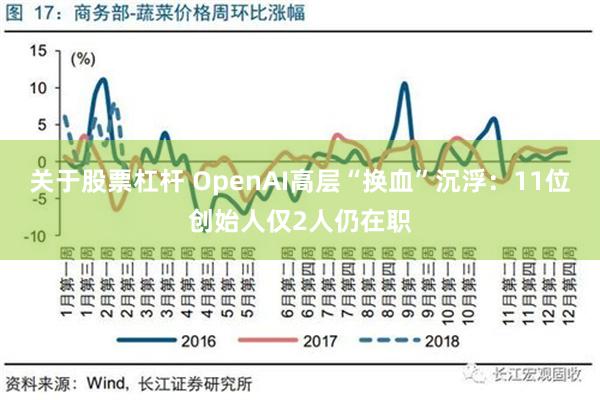 关于股票杠杆 OpenAI高层“换血”沉浮：11位创始人仅2人仍在职