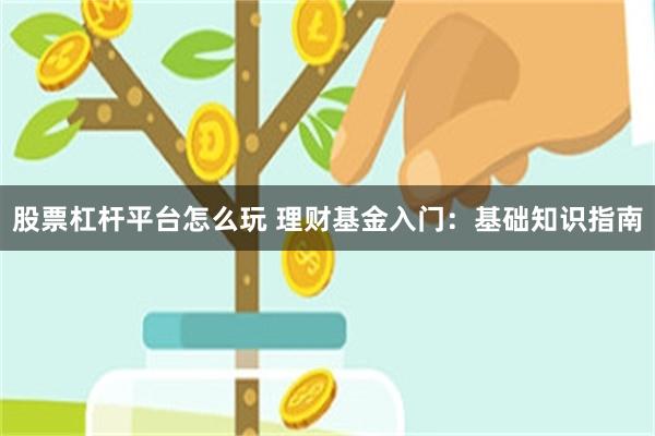 股票杠杆平台怎么玩 理财基金入门：基础知识指南