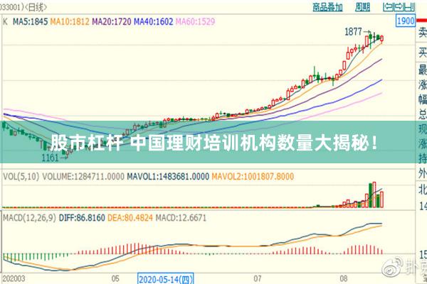 股市杠杆 中国理财培训机构数量大揭秘！