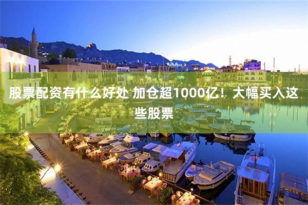 股票配资有什么好处 加仓超1000亿！大幅买入这些股票