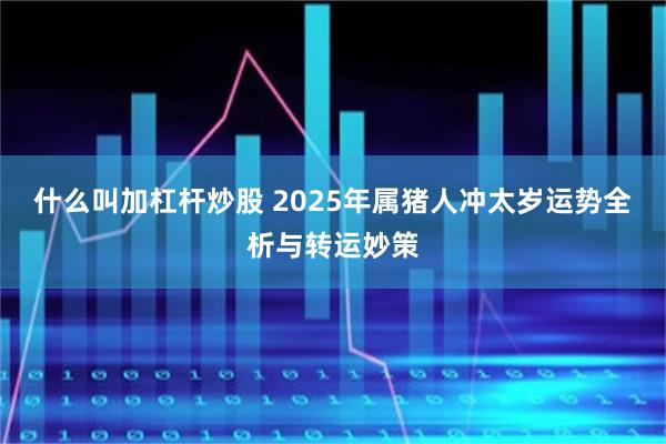 什么叫加杠杆炒股 2025年属猪人冲太岁运势全析与转运妙策